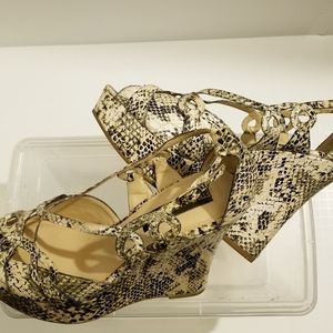 Steve Madden Luxe Multi-color Snake Skin